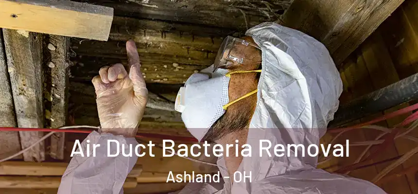 Air Duct Bacteria Removal Ashland - OH