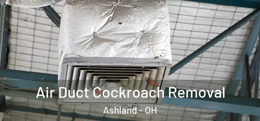 Air Duct Cockroach Removal Ashland - OH