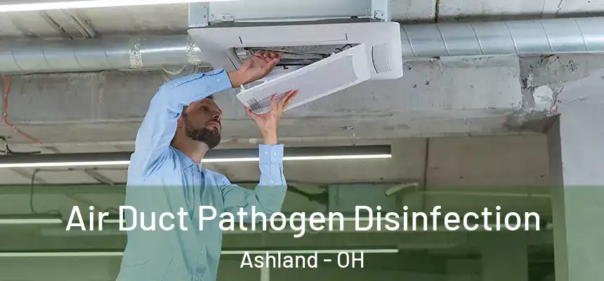Air Duct Pathogen Disinfection Ashland - OH