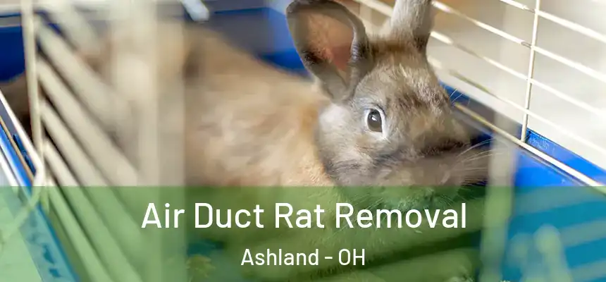 Air Duct Rat Removal Ashland - OH
