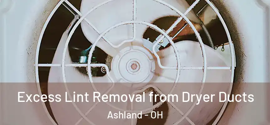 Excess Lint Removal from Dryer Ducts Ashland - OH