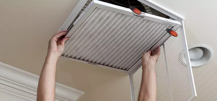 Our Insect Removal from Air Ducts Services in Ashland, OH
