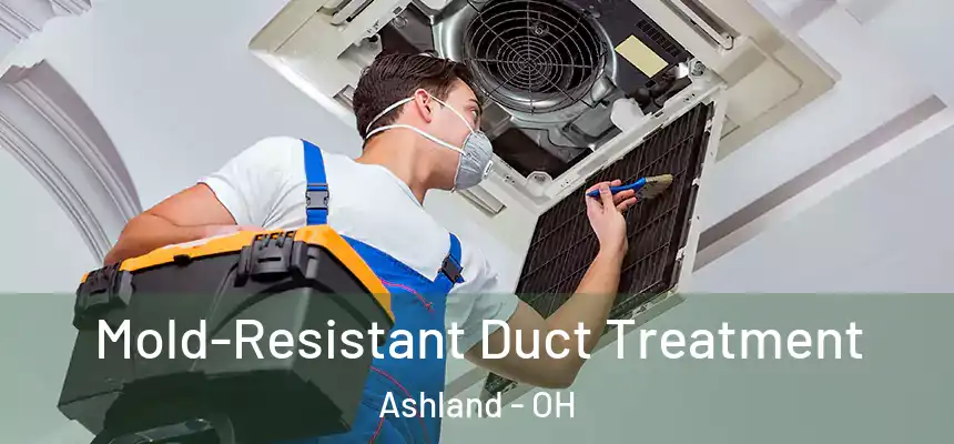  Mold-Resistant Duct Treatment Ashland - OH