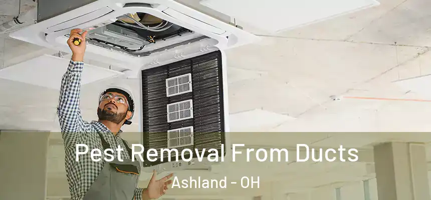  Pest Removal From Ducts Ashland - OH