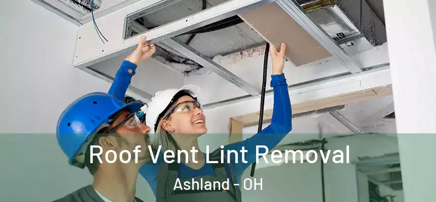 Roof Vent Lint Removal Ashland - OH