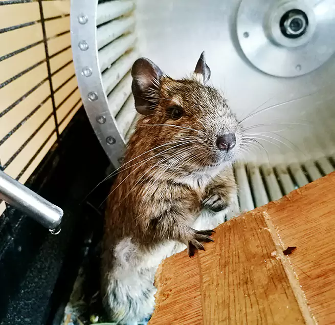 Why Homeowners & Businesses Trust Us Ashland, OH?